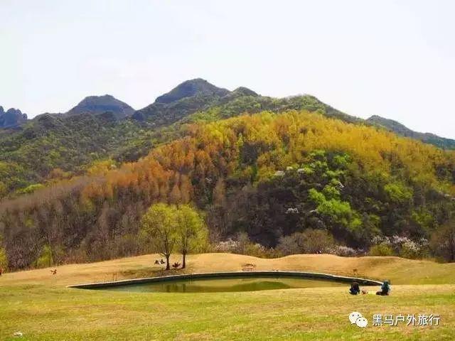 《2024年湖北卫视春节联欢晚会》录制启动,任贤齐、萧敬腾、腾格尔等明星将出演