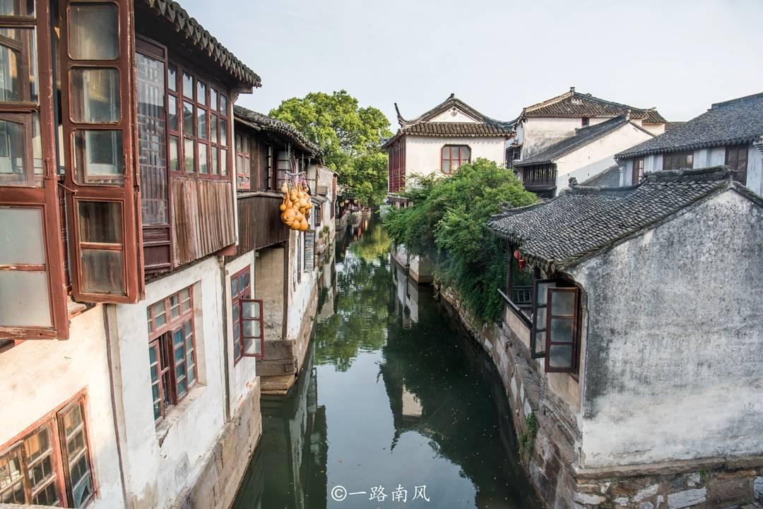 救援受困的长颈鹿